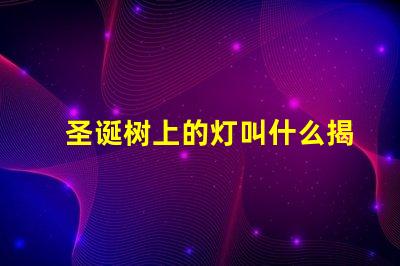 圣诞树上的灯叫什么揭秘圣诞树灯光的种类与选择