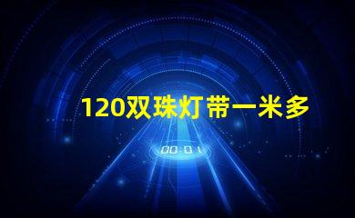 120双珠灯带一米多少瓦