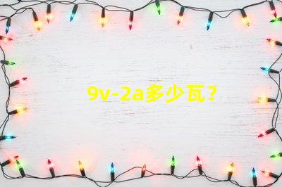 9v-2a多少瓦？