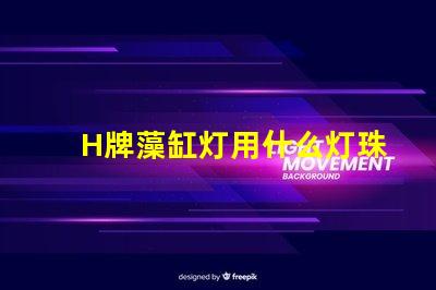 H牌藻缸灯用什么灯珠