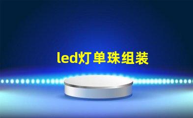 led灯单珠组装