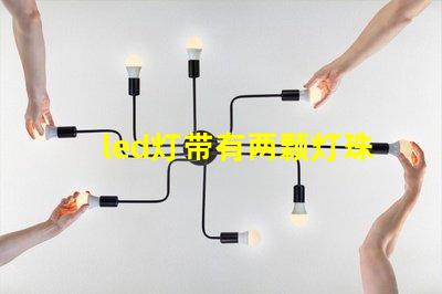 led灯带有两颗灯珠闪