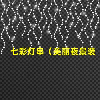 七彩灯串（美丽夜景装饰品）
