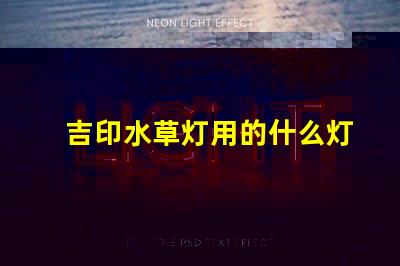 吉印水草灯用的什么灯珠