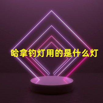 哈拿钓灯用的是什么灯珠