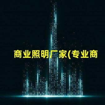 商业照明厂家(专业商用照明设备供应商)