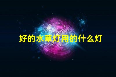 好的水草灯用的什么灯珠