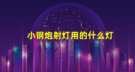 小钢炮射灯用的什么灯珠