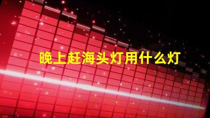 晚上赶海头灯用什么灯珠