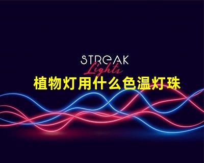 植物灯用什么色温灯珠