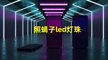 照蝎子led灯珠