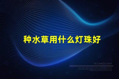 种水草用什么灯珠好