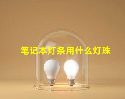 笔记本灯条用什么灯珠