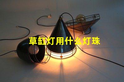 草缸灯用什么灯珠