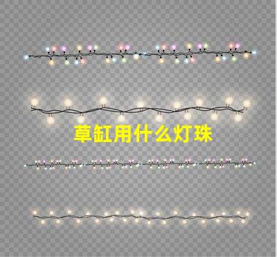 草缸用什么灯珠