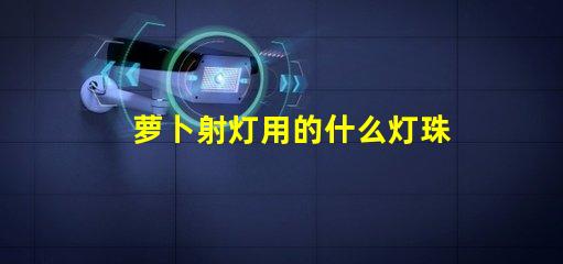 萝卜射灯用的什么灯珠