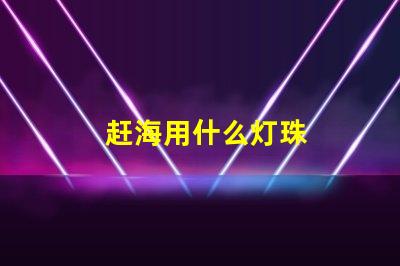 赶海用什么灯珠