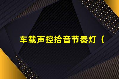 车载声控拾音节奏灯（为车内音乐增添舞动灯光效果）