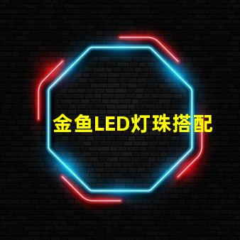 金鱼LED灯珠搭配
