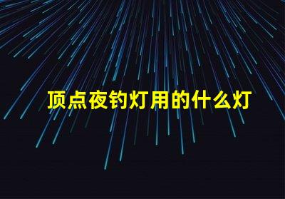 顶点夜钓灯用的什么灯珠