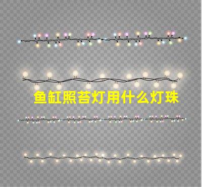 鱼缸照苔灯用什么灯珠