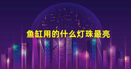 鱼缸用的什么灯珠最亮的