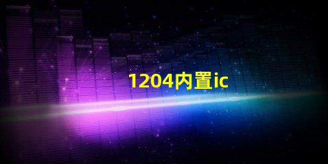 1204内置ic