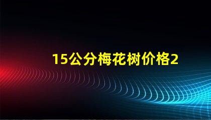 15公分梅花树价格2023年最新市场价格分析