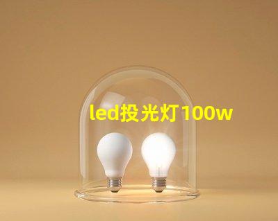 led投光灯100w价格市场主流价格分析与选择指南