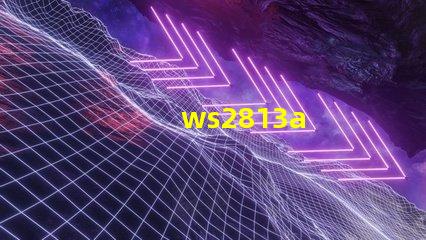 ws2813a