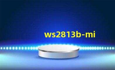 ws2813b-mini
