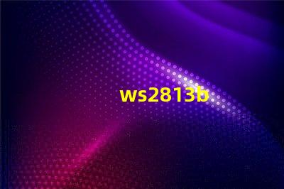 ws2813b