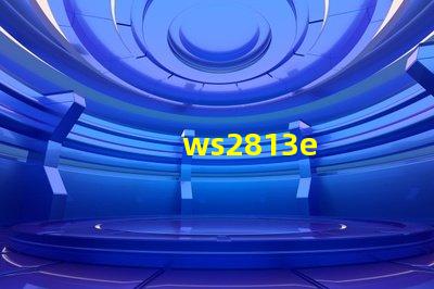 ws2813e