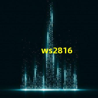 ws2816
