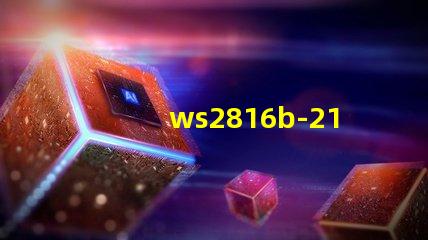 ws2816b-2121