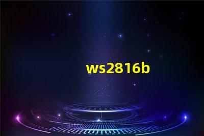 ws2816b