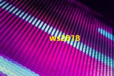 ws2818