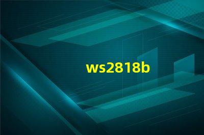 ws2818b