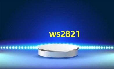 ws2821