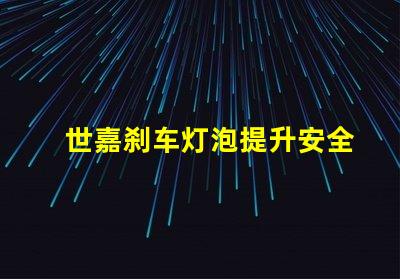 世嘉刹车灯泡提升安全性的关键灯具选择