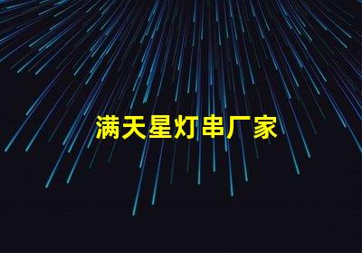满天星灯串厂家