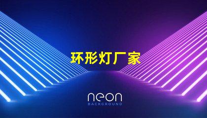 环形灯厂家