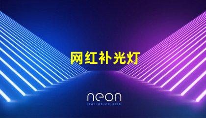 网红补光灯